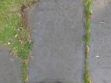 image of grave number 764134